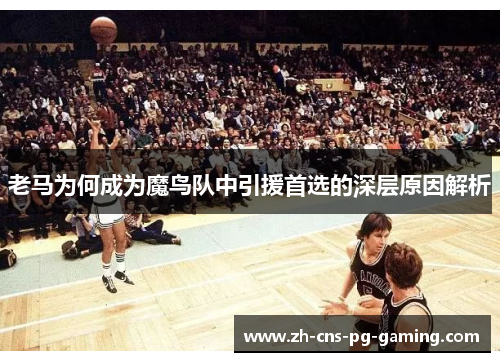 老马为何成为魔鸟队中引援首选的深层原因解析