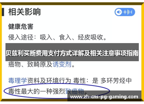 贝兹利买断费用支付方式详解及相关注意事项指南 贝兹利买断费用支付方式详解及相关注意事项指南